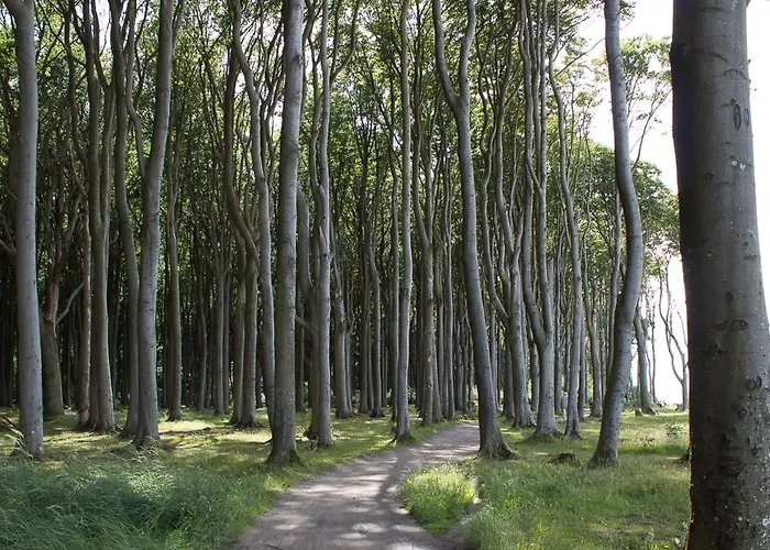 Lägenhet Strandjuwel