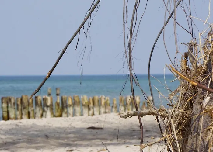 Lägenhet Strandjuwel *